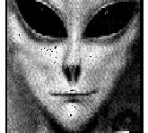 Immagine profilo di alienogrigio